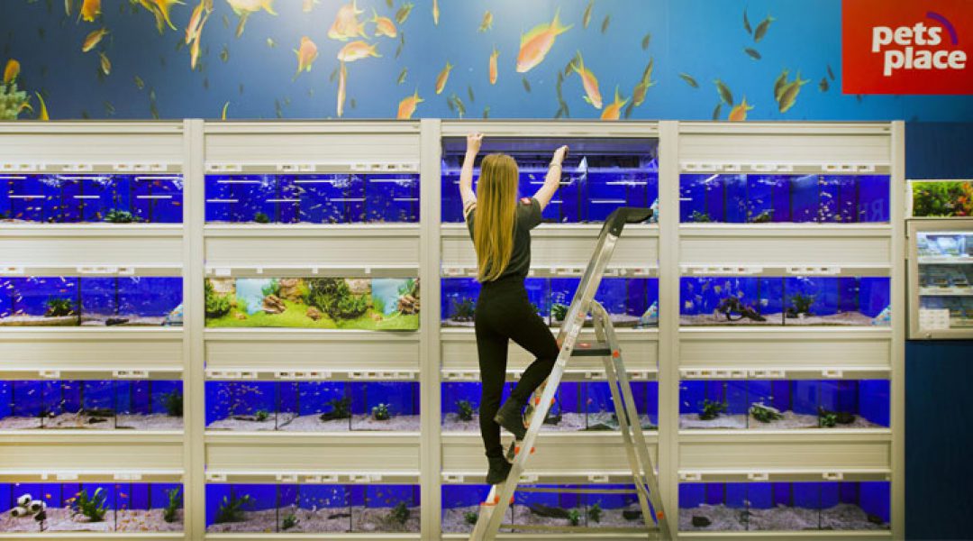 De grootste Pets Place boven de rivieren gaat bijna open